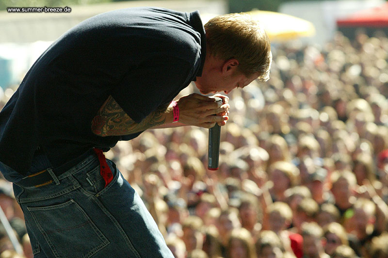 Bild eines Mitglieds der Band Farmer Boys beim Live Auftritt auf dem Summer Breeze 2003. Im Hintergrund die Fans.